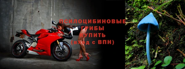 альфа пвп Белокуриха