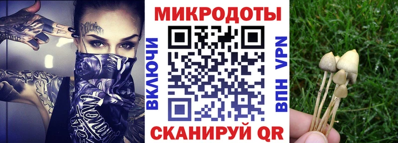 Псилоцибиновые грибы мухоморы  darknet официальный сайт  Тара 